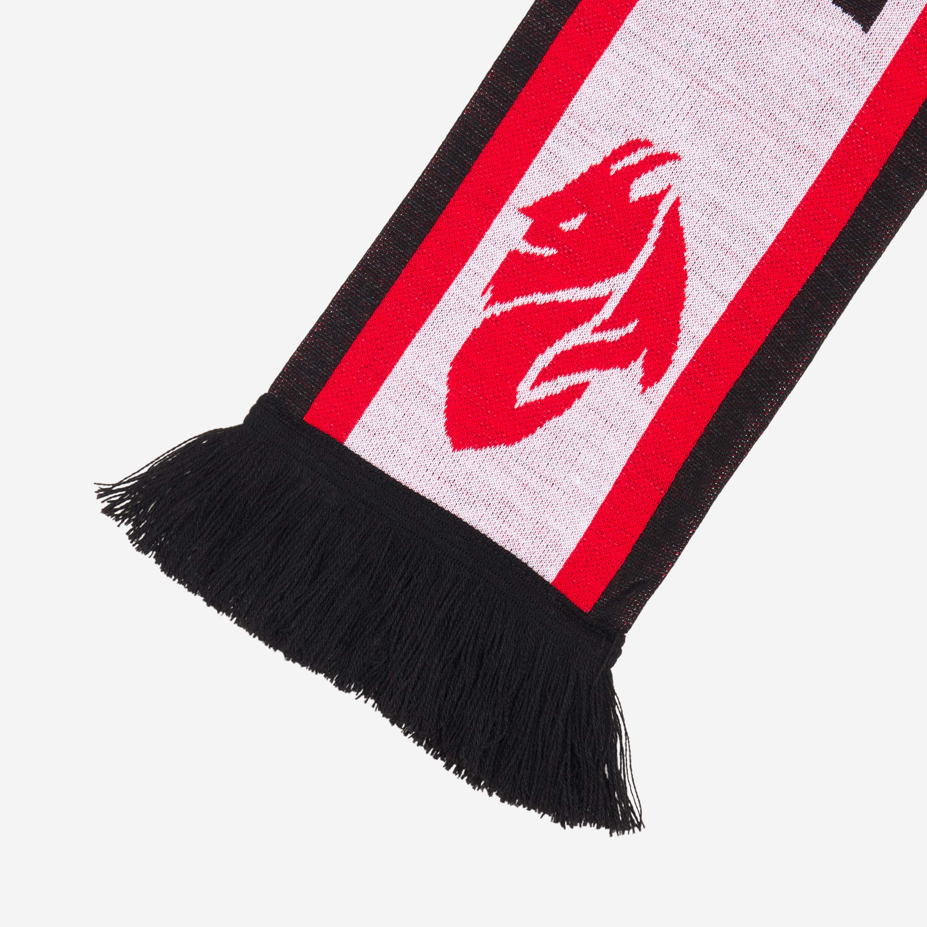 SCIARPA FORZA MILAN - Image 4